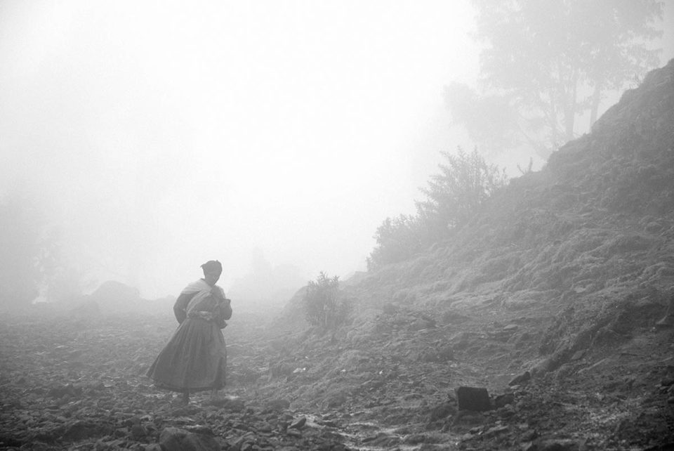 Circle Art Auction 2017, Lot 37 Michael Tsegaye